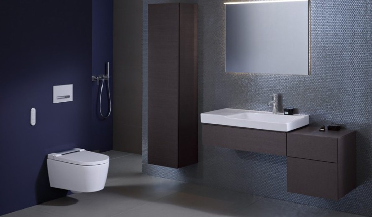 WC Geberit WH image